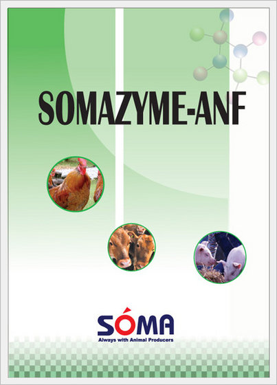Somazyme-anf  Made in Korea